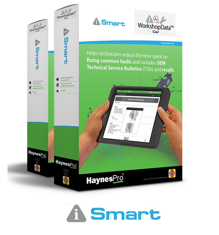 haynes-smart